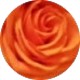 ROSA NARANJA